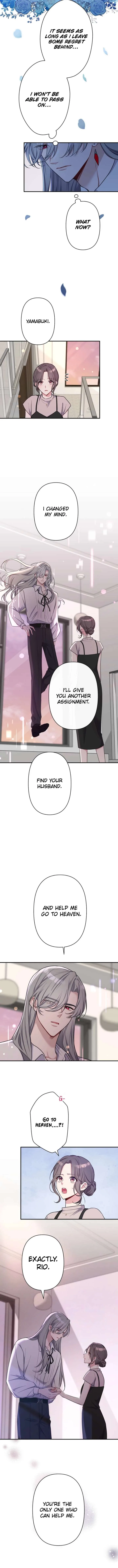 My Three Husbands Who Love Me Chapter 43 page 11