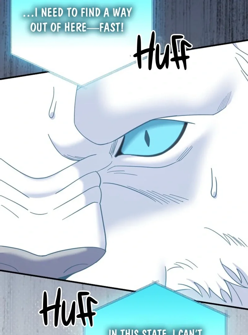 My Villain Fiancé is Interfering With My Flowery Path Chapter 68 page 88