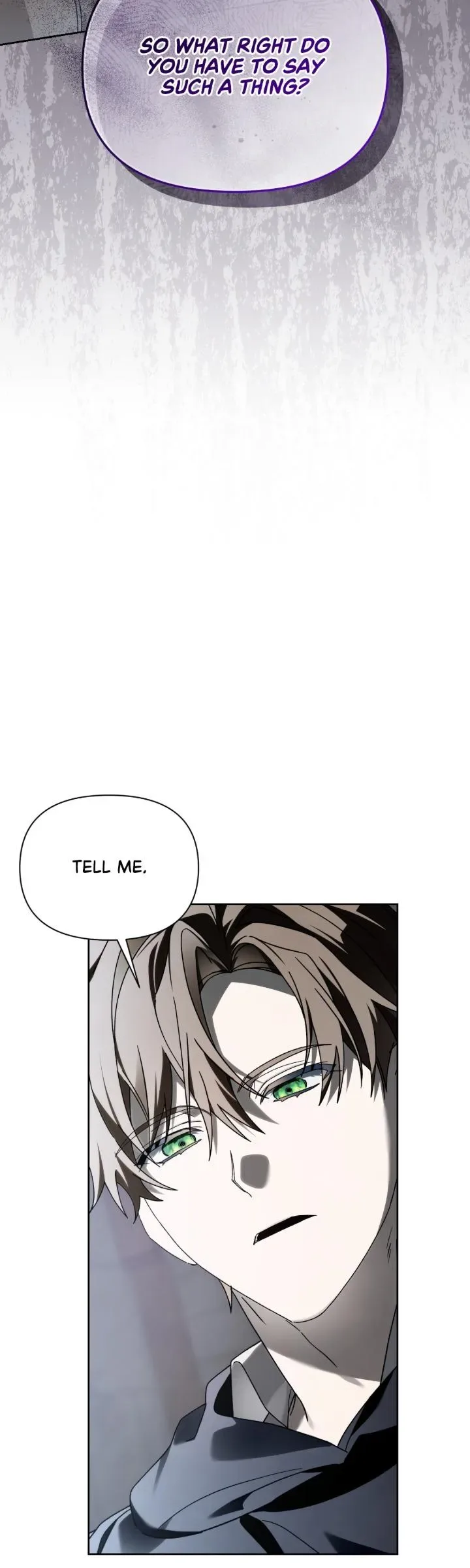 To the Witch Who Forgot the Birds Chapter 68 page 17
