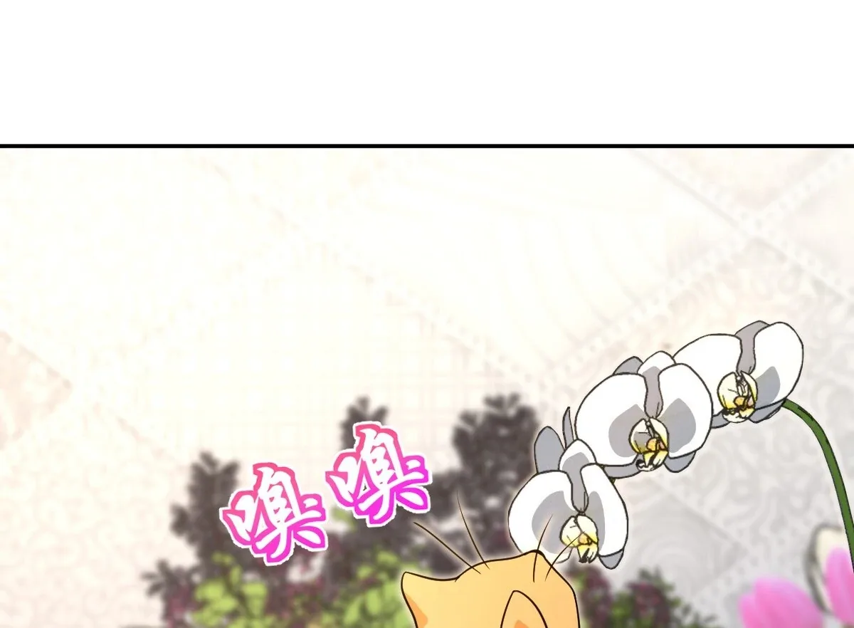 My Wife Is From a Thousand Years Ago Chapter 380 page 59