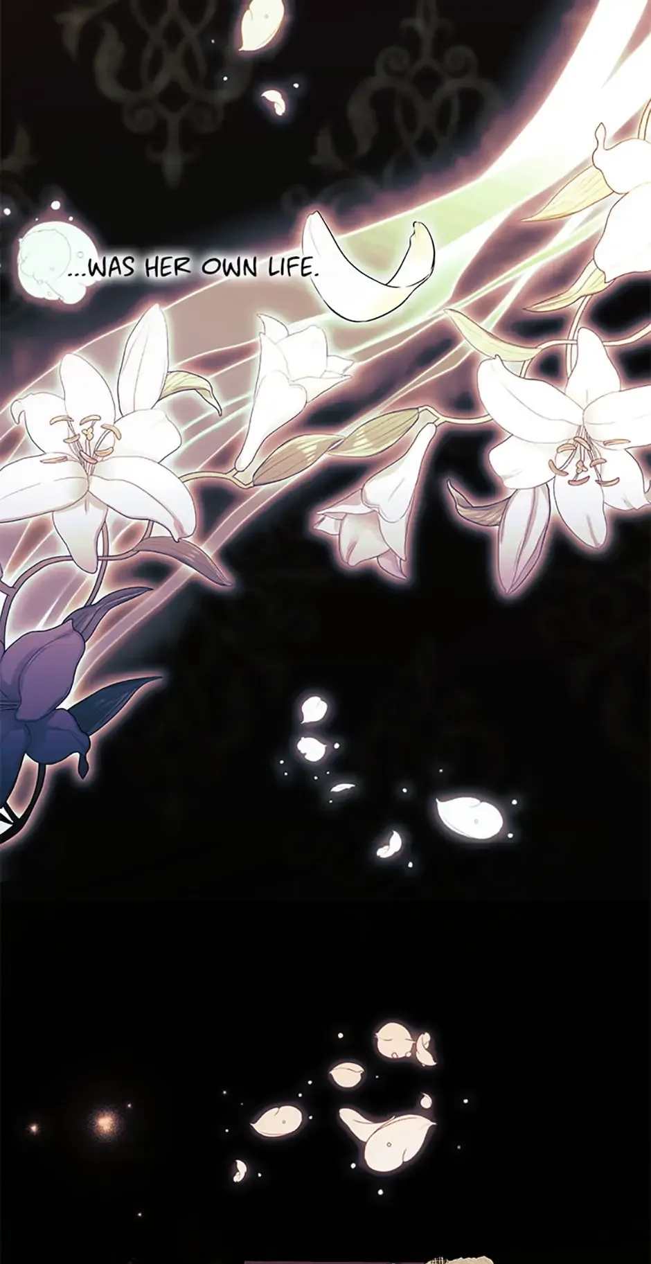 My younger brother forces my flower path Chapter 0 page 11