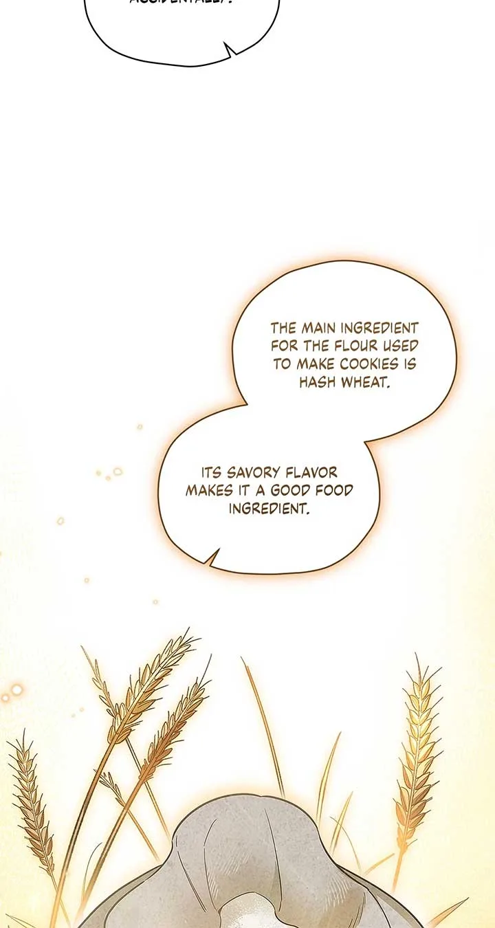 Named Player Elais: The Emperor’s Lady Chapter 42 page 19
