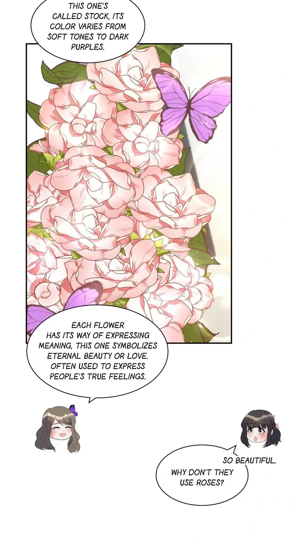 No Marriage, Angel! Chapter 50 page 47