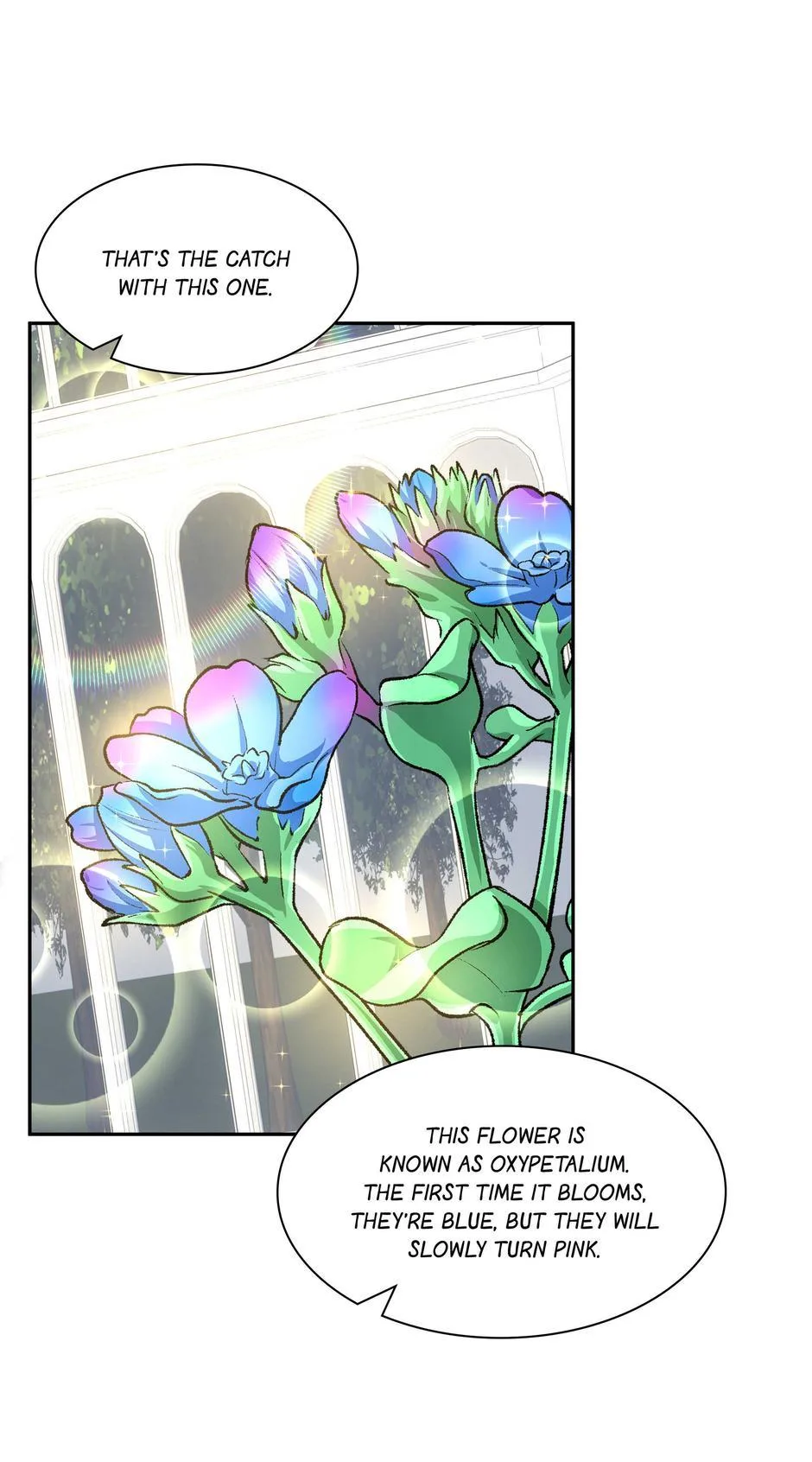 No Marriage, Angel! Chapter 50 page 57