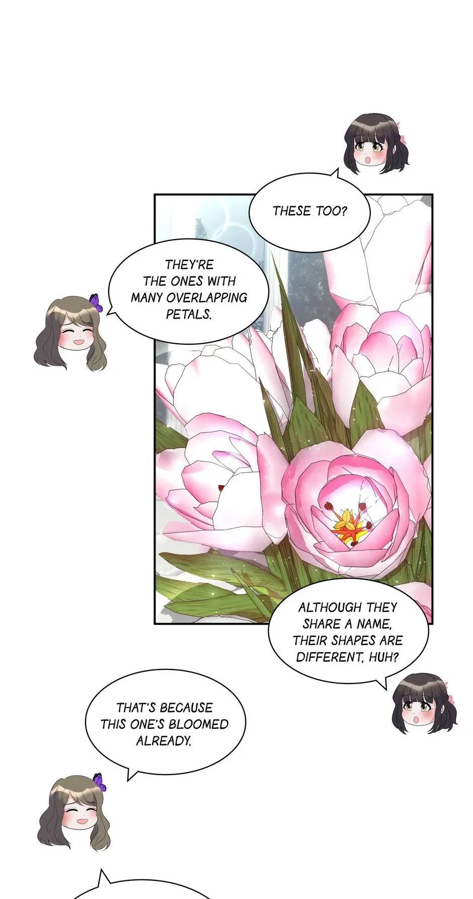 No Marriage, Angel! Chapter 50 page 46