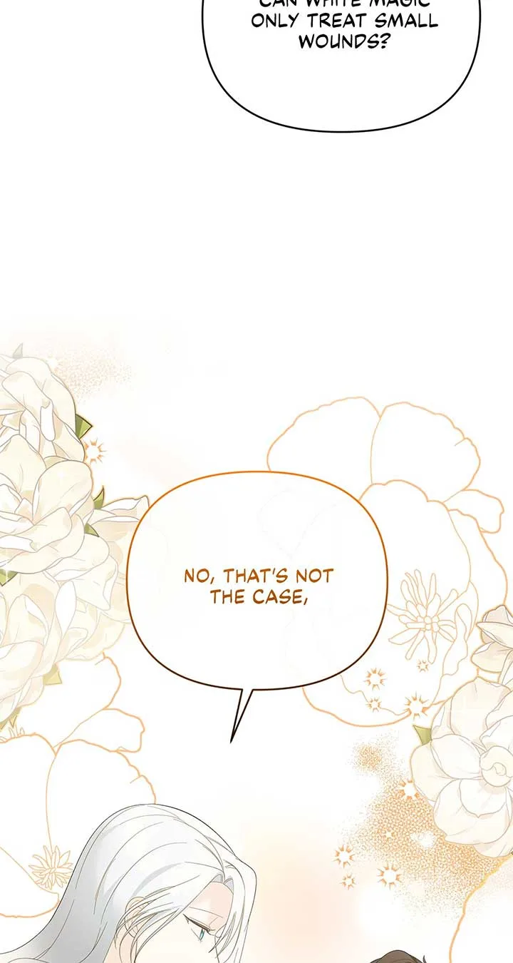 No, I Only Charmed the Princess! Chapter 11 page 45