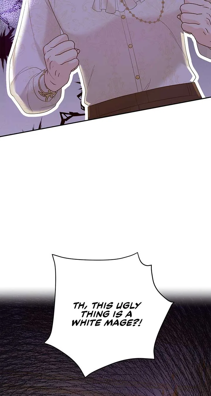 No, I Only Charmed the Princess! Chapter 11 page 29