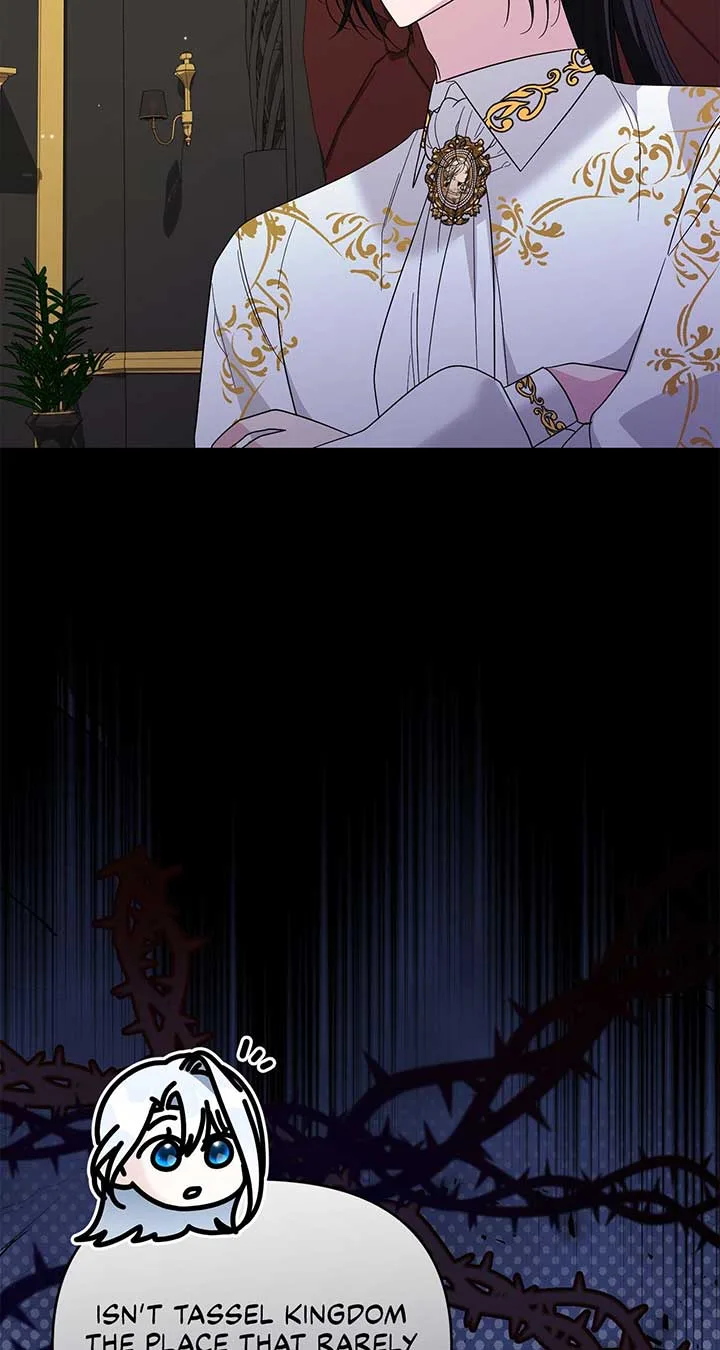 No, I Only Charmed the Princess! Chapter 13 page 45