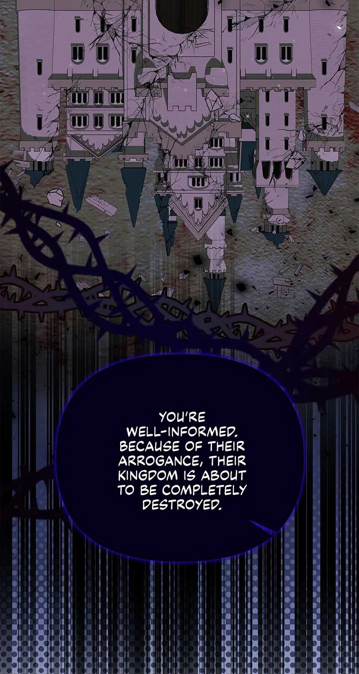 No, I Only Charmed the Princess! Chapter 13 page 47