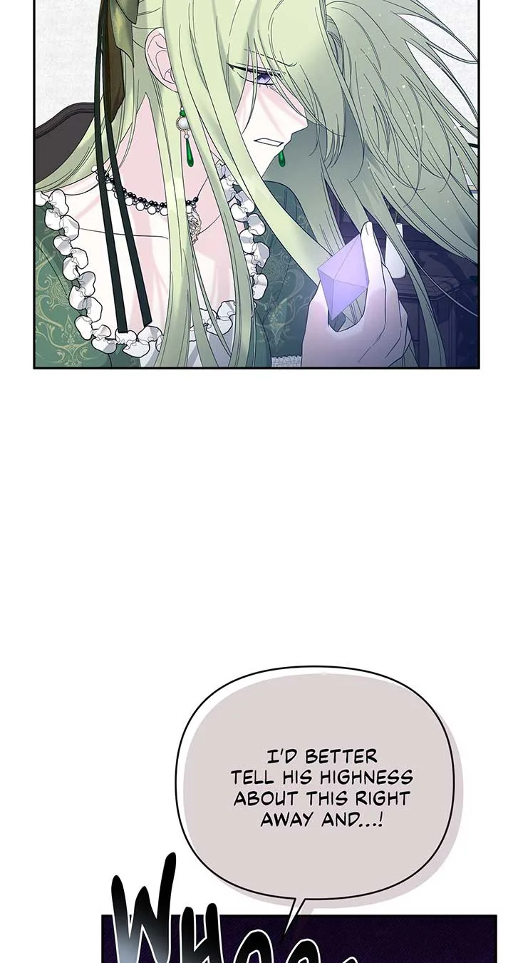 No, I Only Charmed the Princess! Chapter 14 page 45