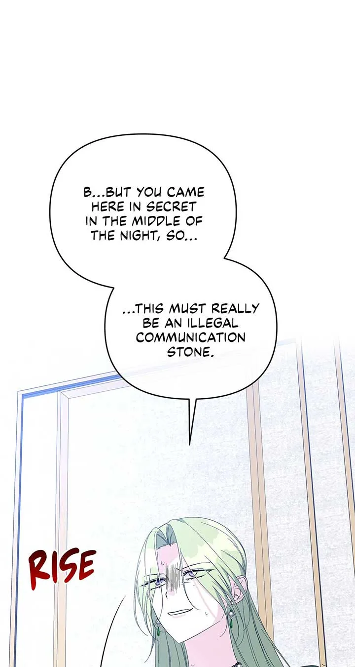 No, I Only Charmed the Princess! Chapter 14 page 67