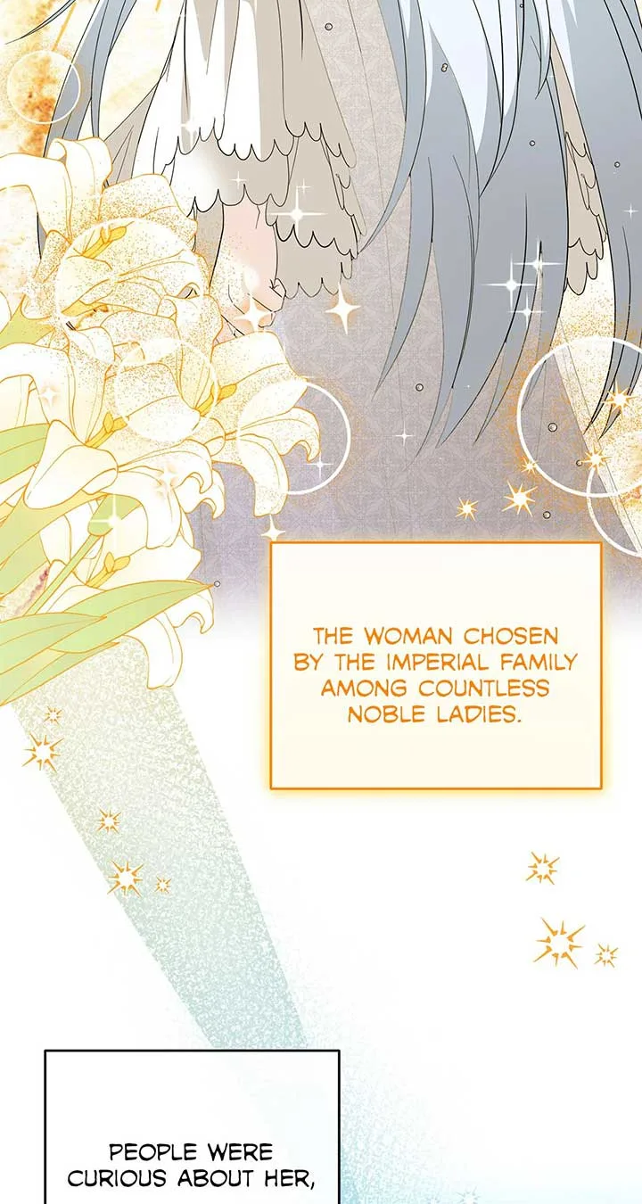 No, I Only Charmed the Princess! Chapter 17 page 26