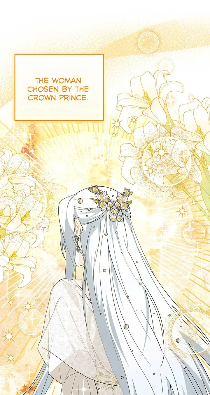 No, I Only Charmed the Princess! Chapter 17 page 25