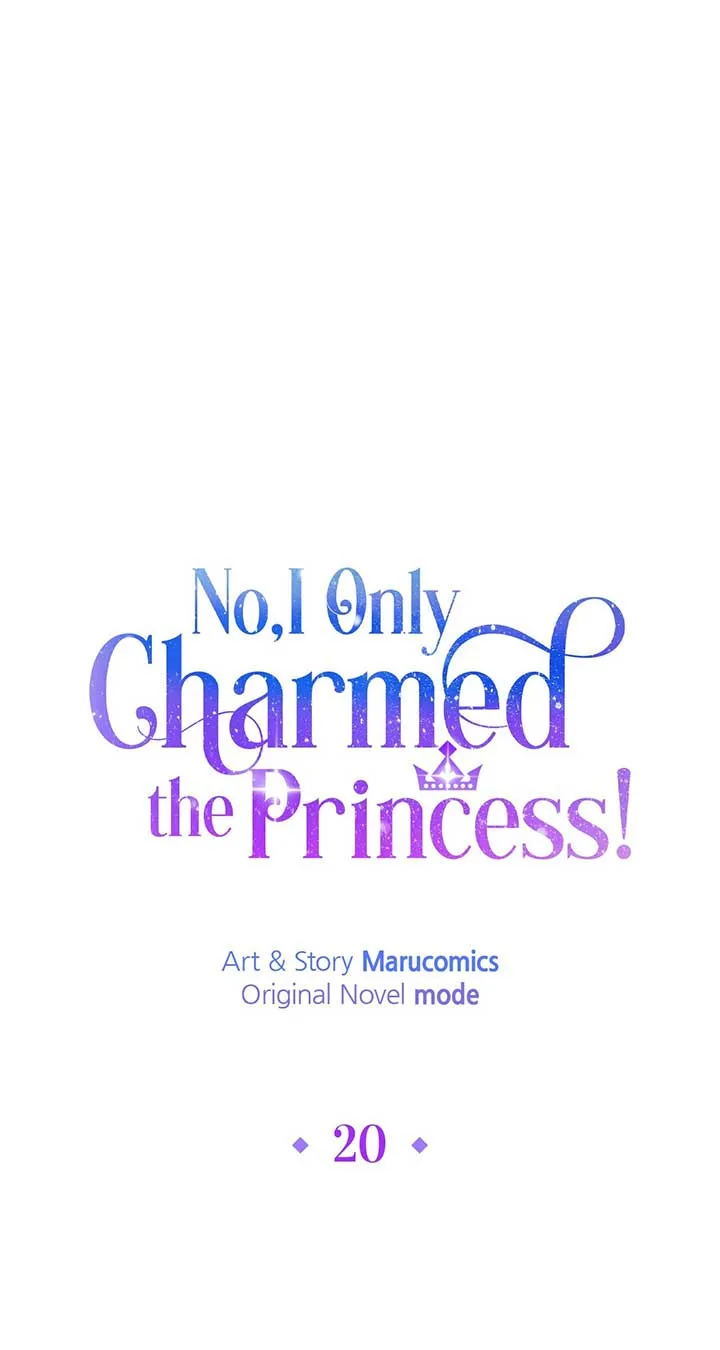 No, I Only Charmed the Princess! Chapter 20 page 32