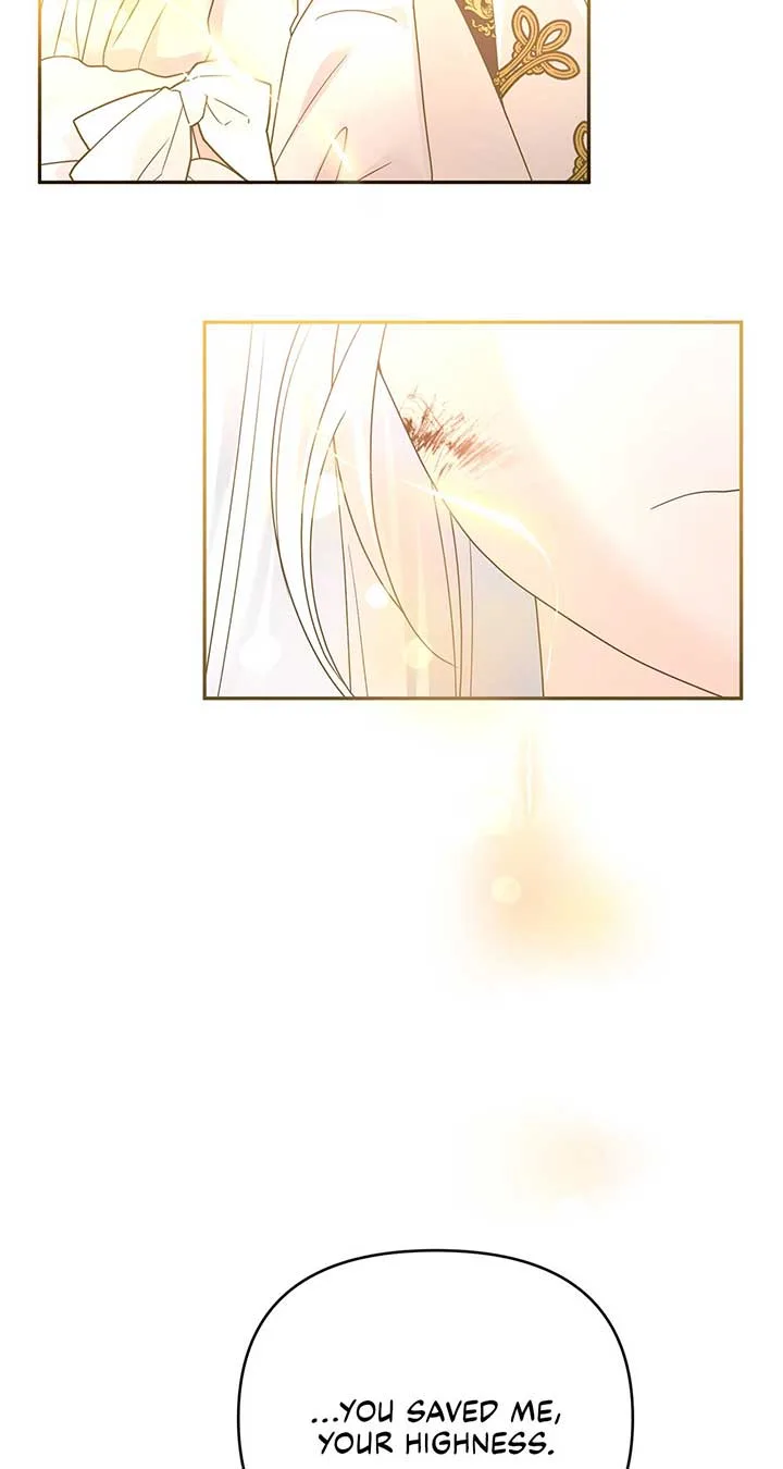 No, I Only Charmed the Princess! Chapter 21 page 87