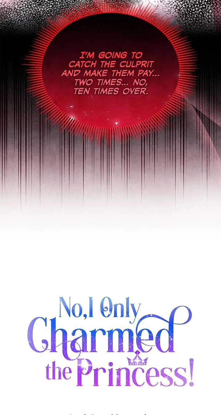 No, I Only Charmed the Princess! Chapter 21 page 74