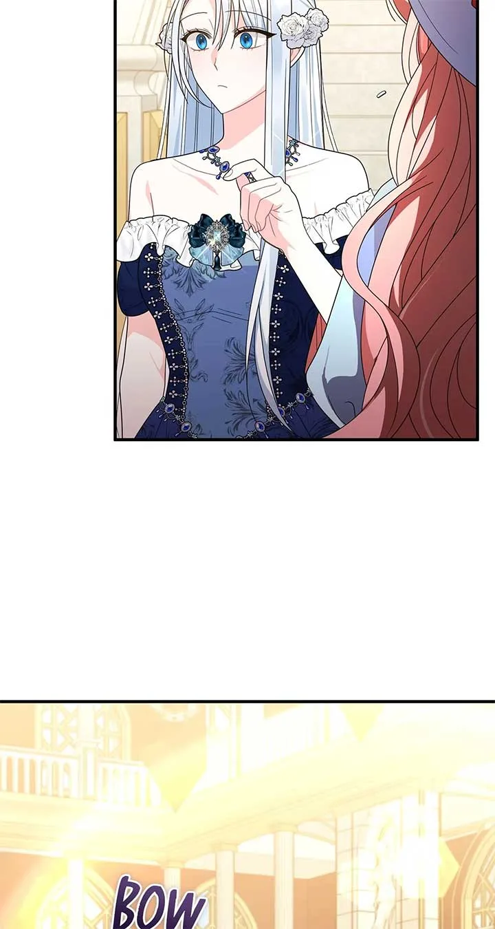 No, I Only Charmed the Princess! Chapter 25 page 62