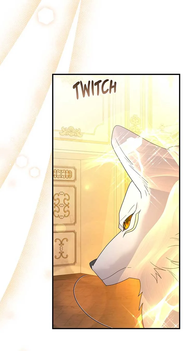 No, I Only Charmed the Princess! Chapter 23 page 68