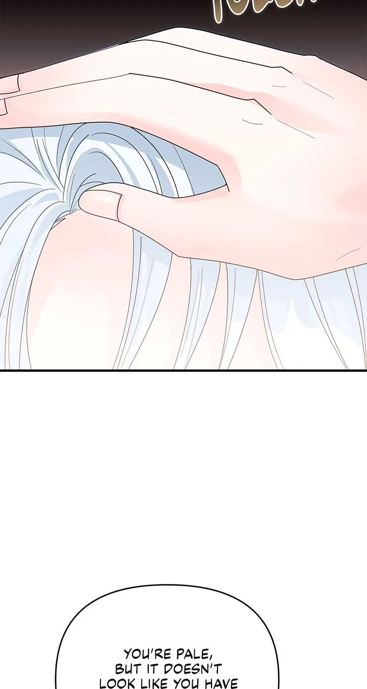 No, I Only Charmed the Princess! Chapter 24 page 46