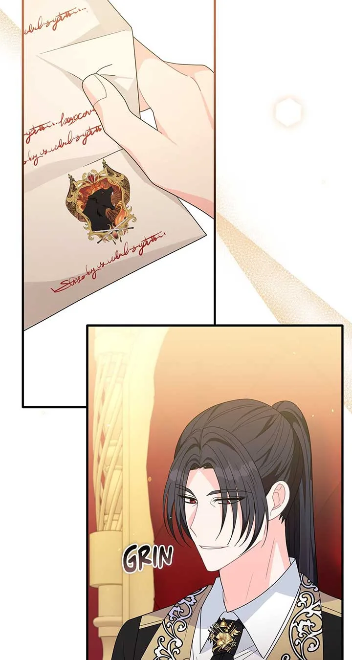 No, I Only Charmed the Princess! Chapter 29 page 27