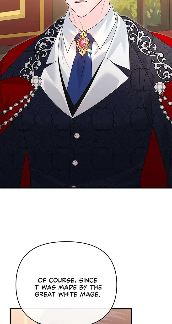 No, I Only Charmed the Princess! Chapter 24 page 81