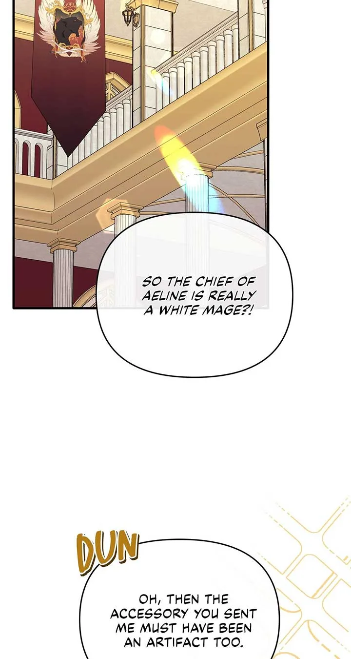 No, I Only Charmed the Princess! Chapter 29 page 9
