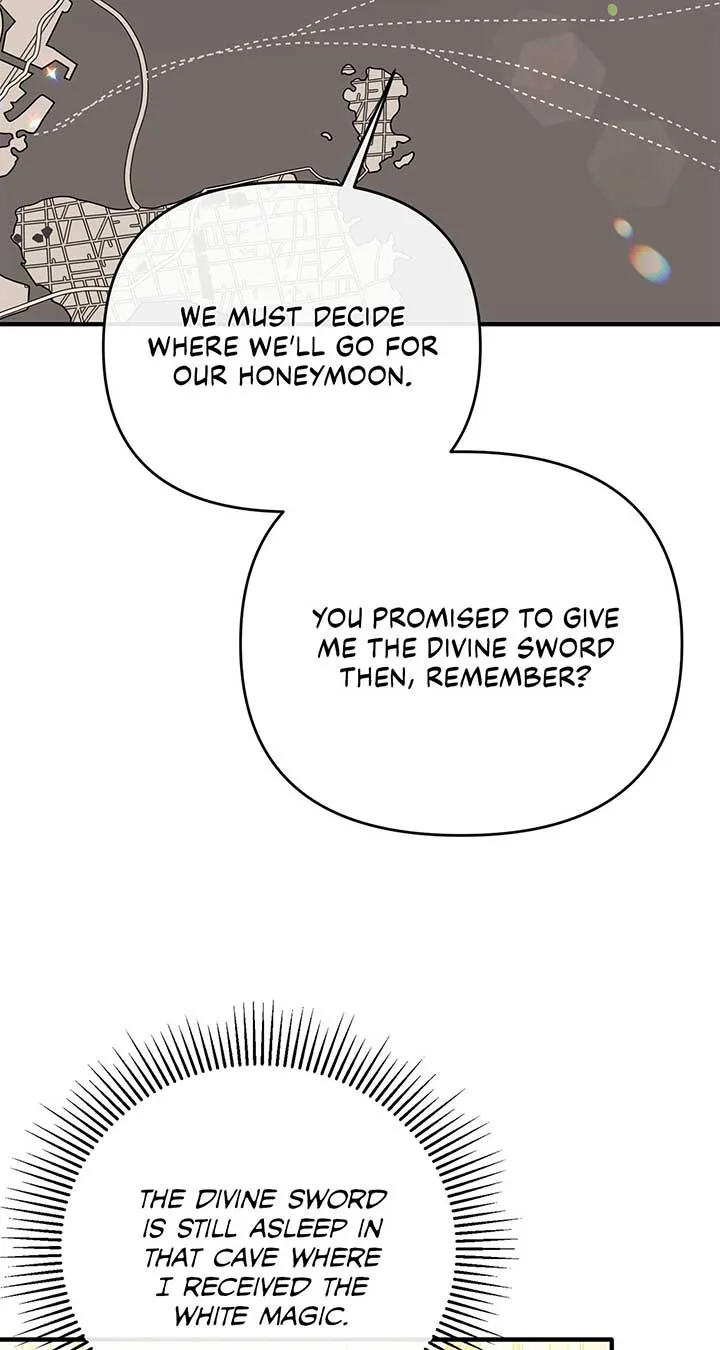 No, I Only Charmed the Princess! Chapter 29 page 65