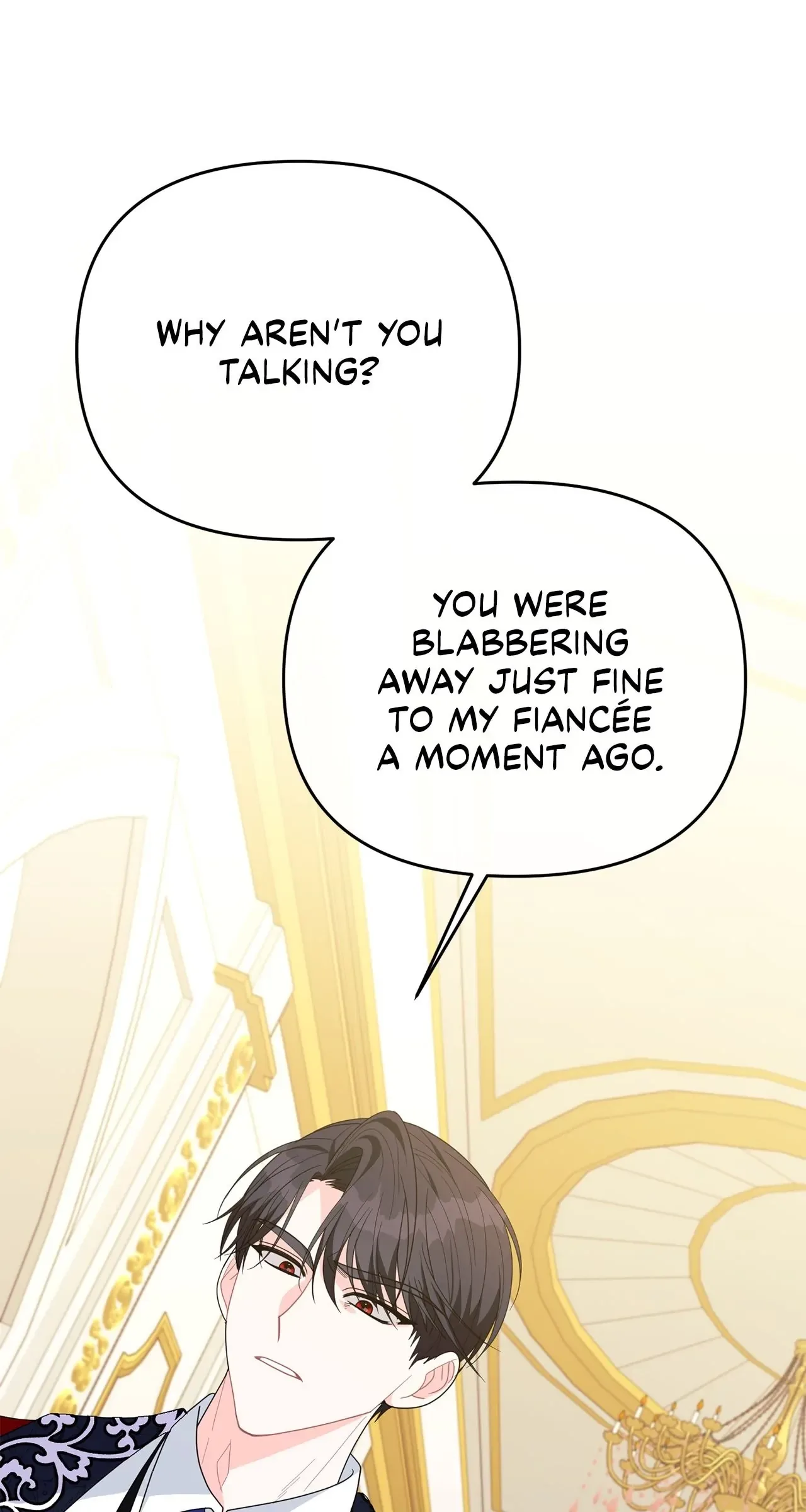 No, I Only Charmed the Princess! Chapter 28 page 9