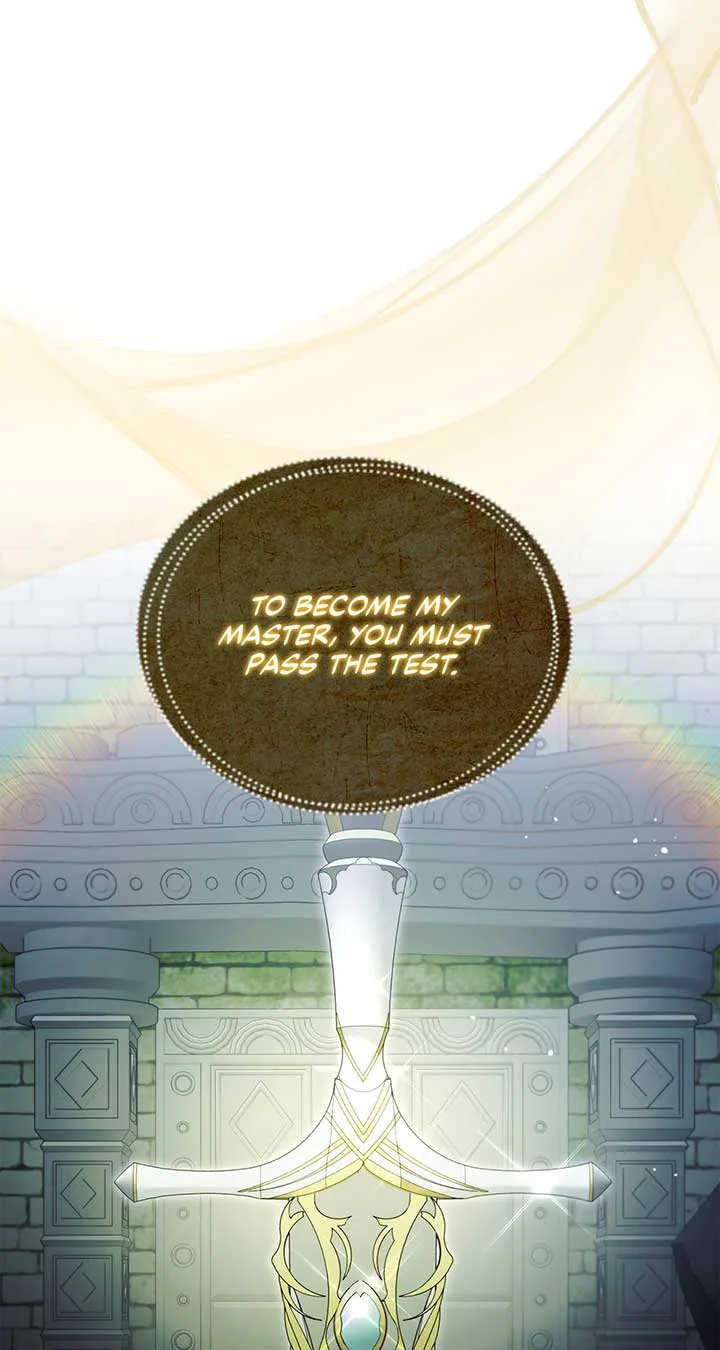No, I Only Charmed the Princess! Chapter 31 page 62