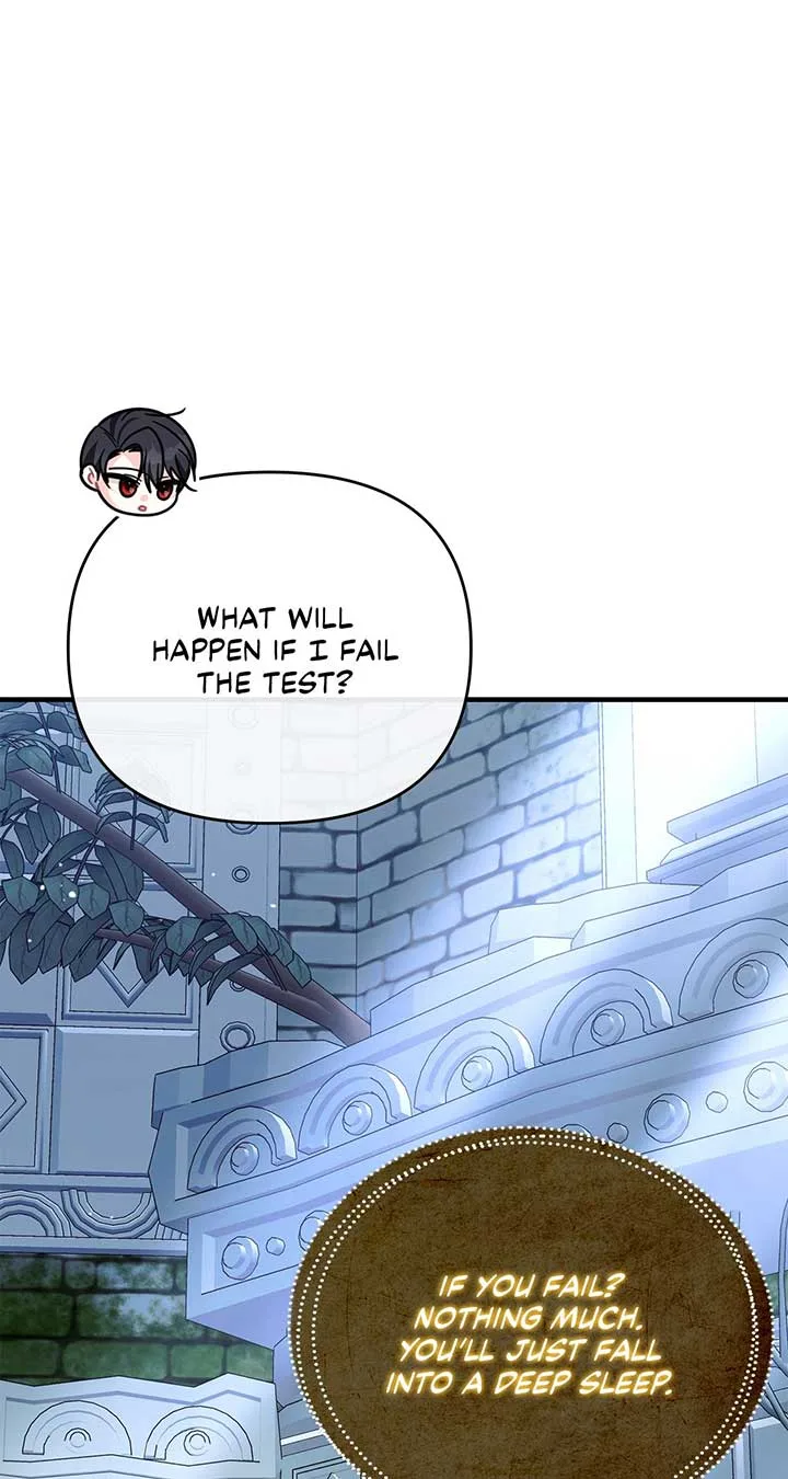 No, I Only Charmed the Princess! Chapter 31 page 65