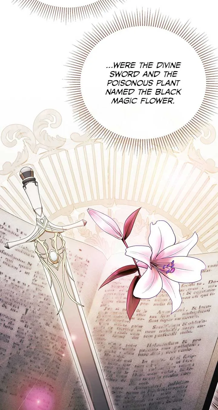 No, I Only Charmed the Princess! Chapter 34 page 28