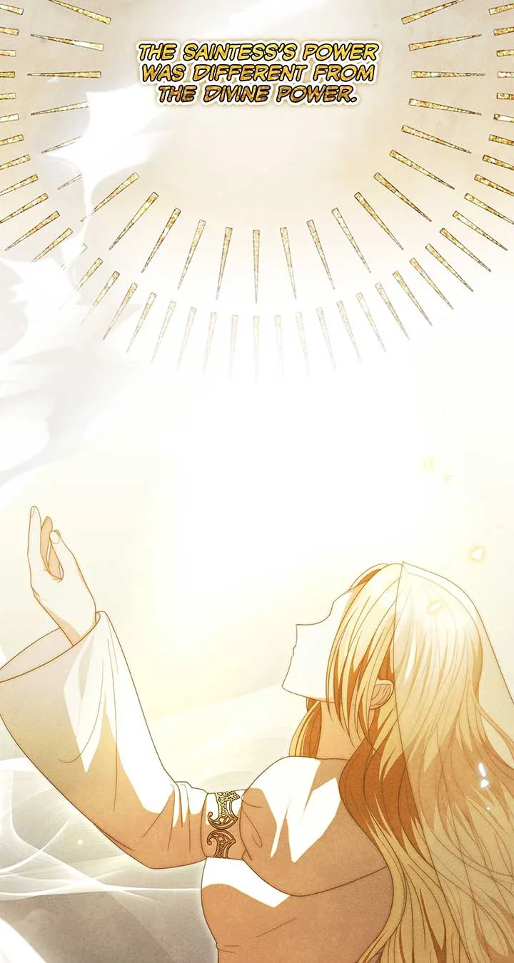 No, I Only Charmed the Princess! Chapter 34 page 73
