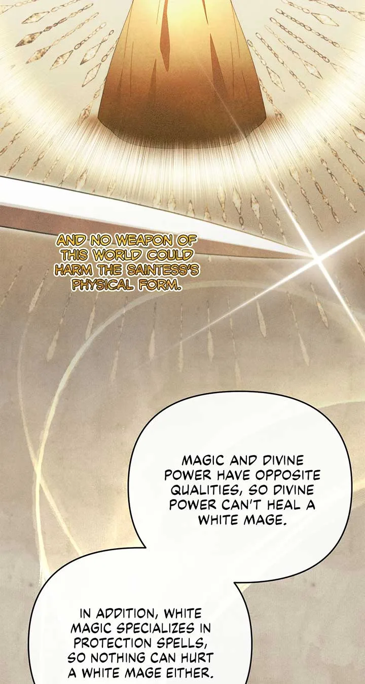 No, I Only Charmed the Princess! Chapter 34 page 76