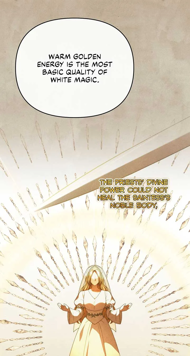 No, I Only Charmed the Princess! Chapter 34 page 75