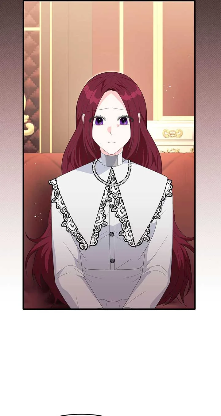 No, I Only Charmed the Princess! Chapter 35 page 29