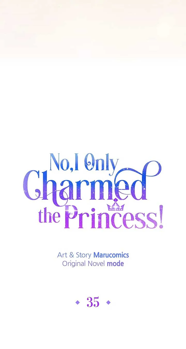 No, I Only Charmed the Princess! Chapter 35 page 34