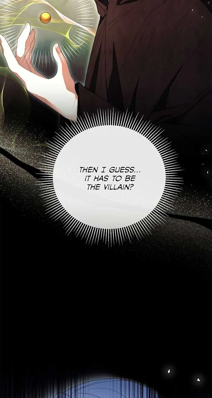 No, I Only Charmed the Princess! Chapter 36 page 74