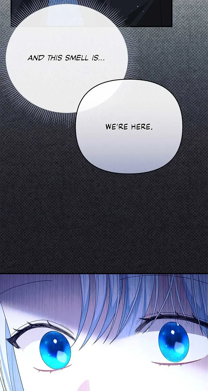 No, I Only Charmed the Princess! Chapter 37 page 93