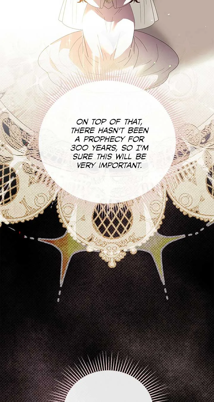 No, I Only Charmed the Princess! Chapter 33 page 37