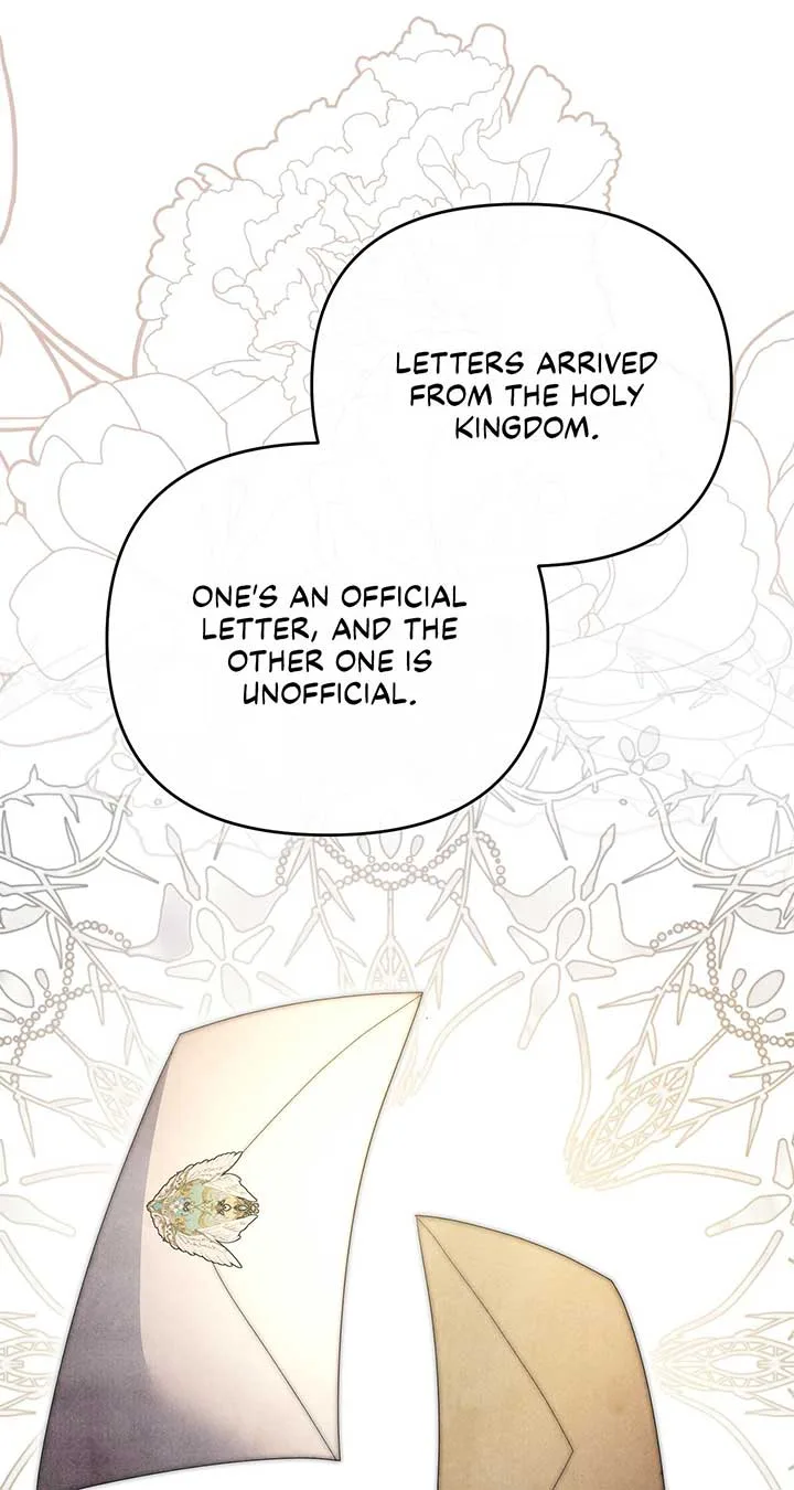 No, I Only Charmed the Princess! Chapter 33 page 27