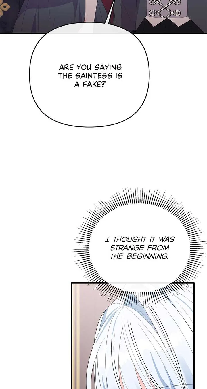 No, I Only Charmed the Princess! Chapter 33 page 63
