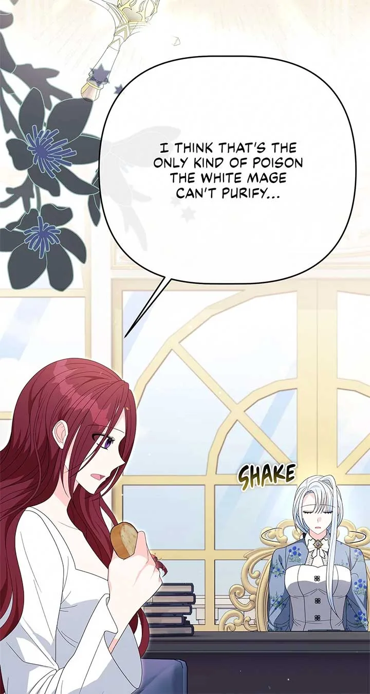 No, I Only Charmed the Princess! Chapter 41 page 24