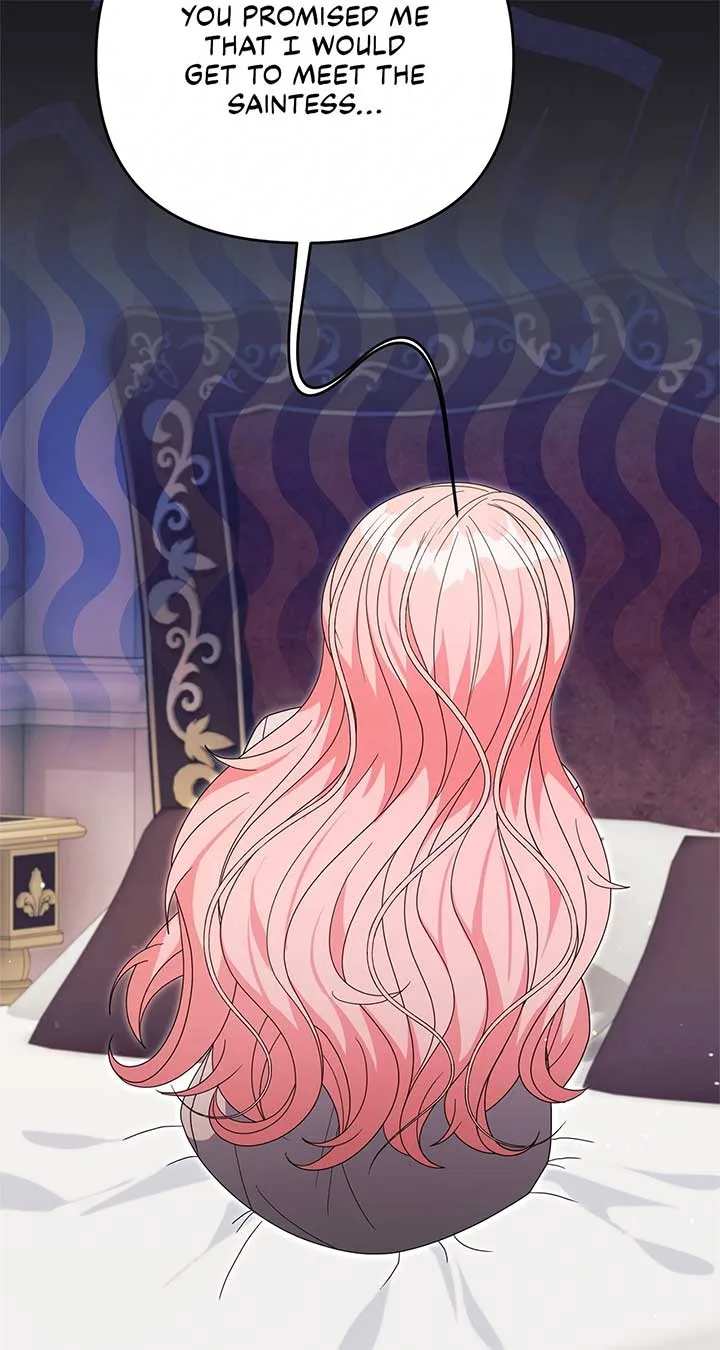 No, I Only Charmed the Princess! Chapter 41 page 49
