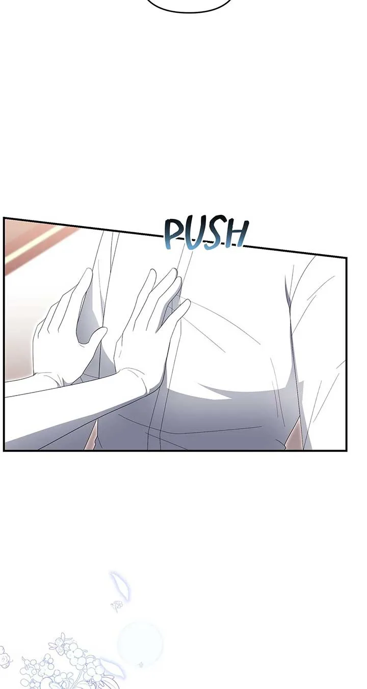 No, I Only Charmed the Princess! Chapter 47 page 3