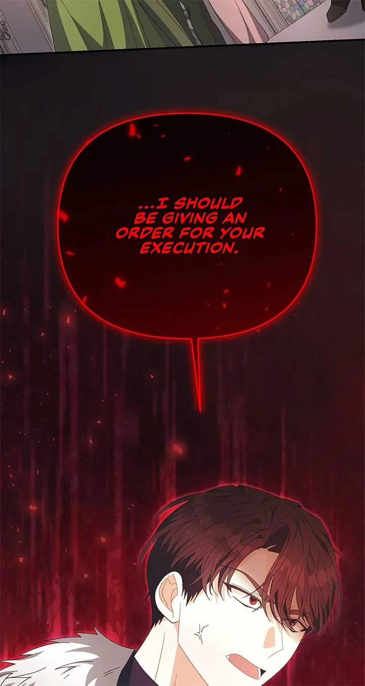 No, I Only Charmed the Princess! Chapter 51 page 70