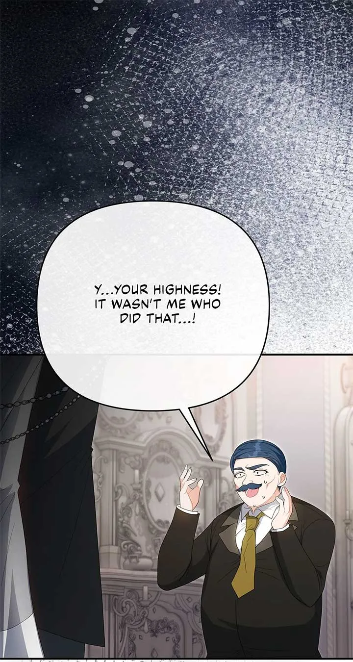 No, I Only Charmed the Princess! Chapter 51 page 62
