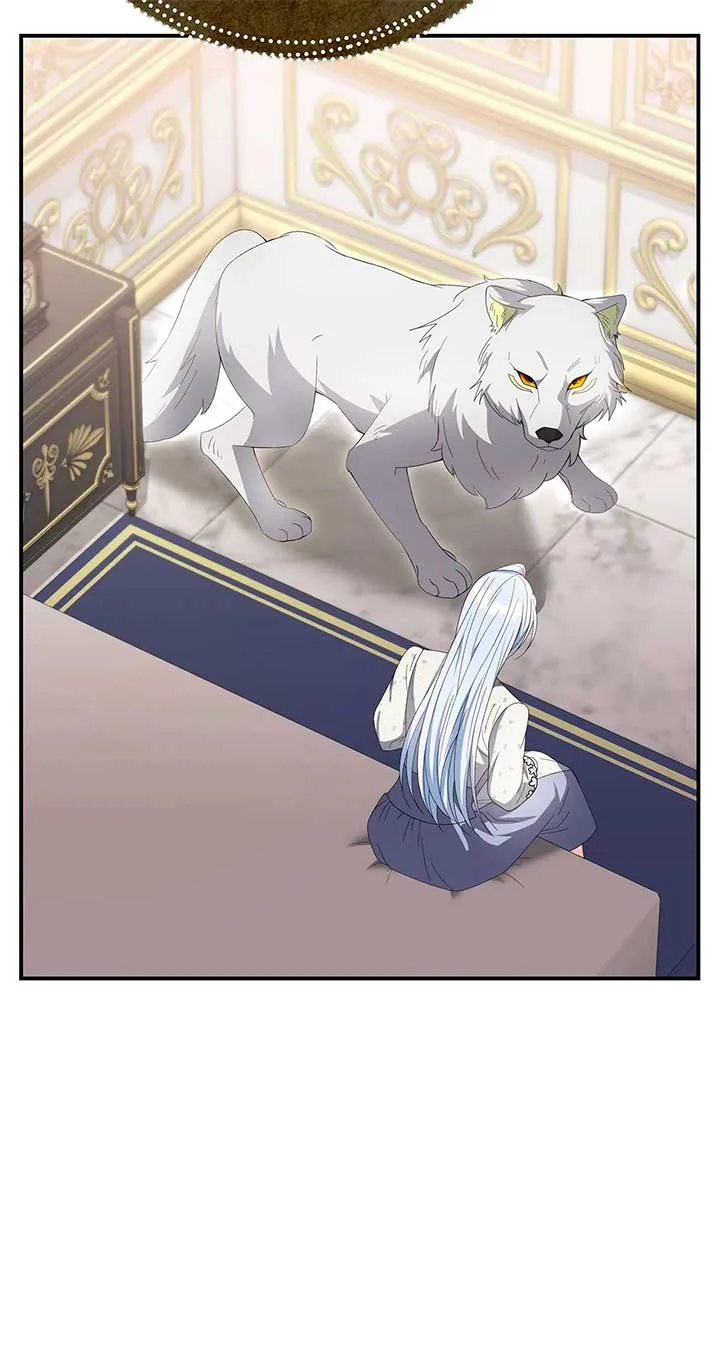 No, I Only Charmed the Princess! Chapter 46 page 63