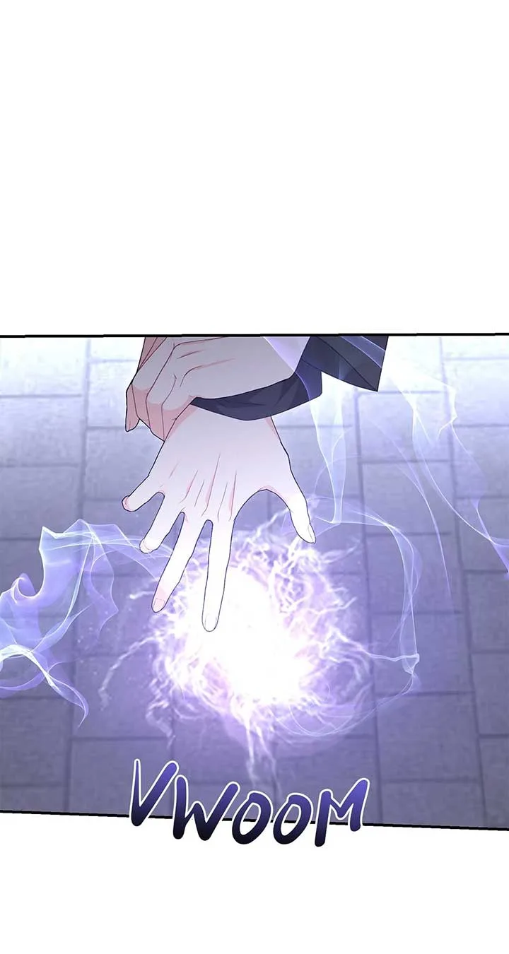 No, I Only Charmed the Princess! Chapter 54 page 71
