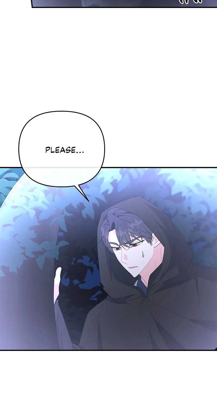 No, I Only Charmed the Princess! Chapter 54 page 13