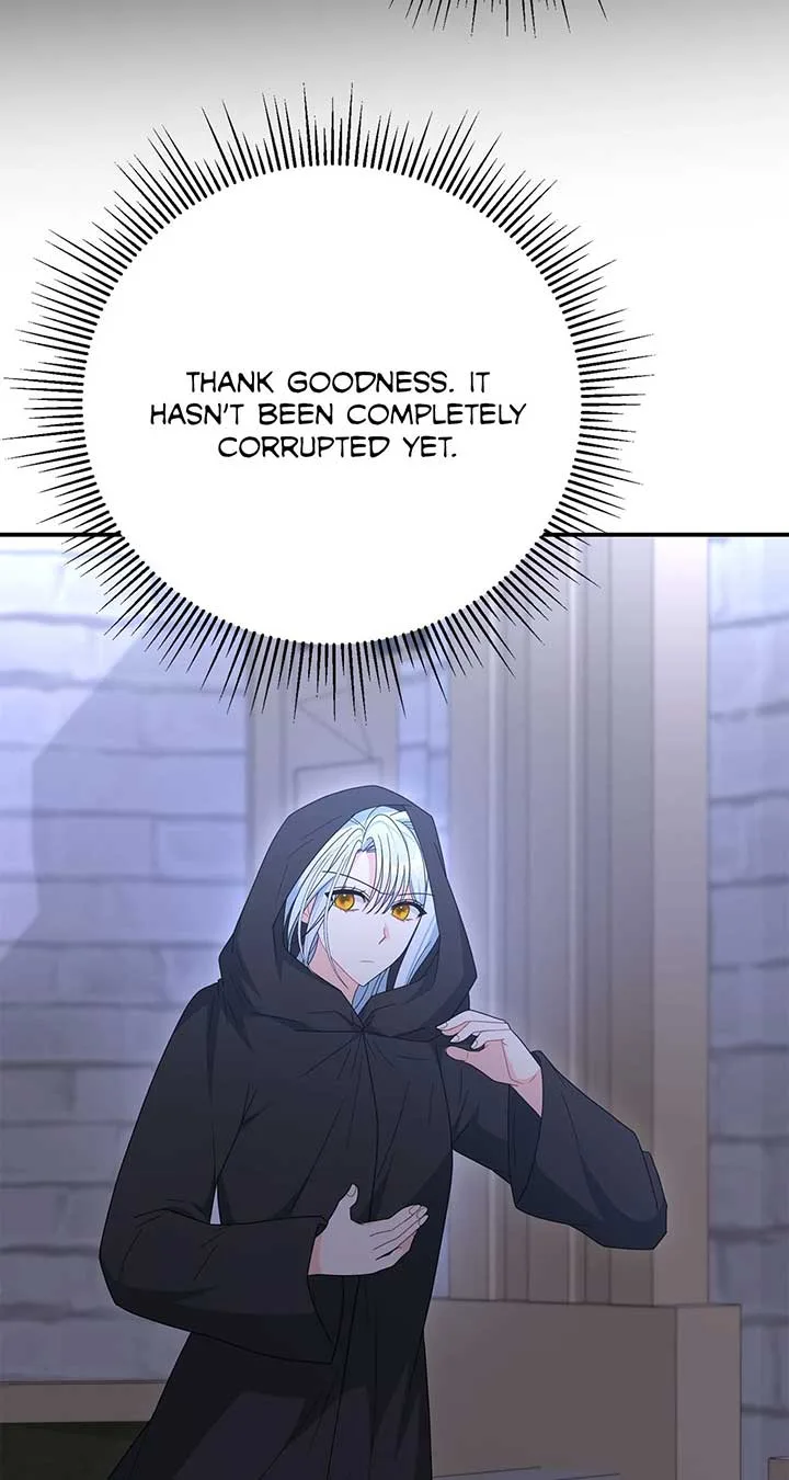 No, I Only Charmed the Princess! Chapter 54 page 67